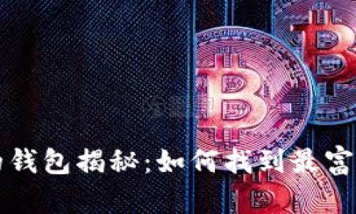 比特币数量最多的钱包揭秘：如何找到最富有的比特币持有者