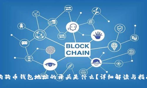狗狗币钱包地址的开头是什么？详细解读与指南