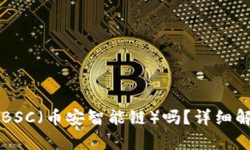 tpWallet支持BSC（币安智能链）吗？详细解析与使用指南