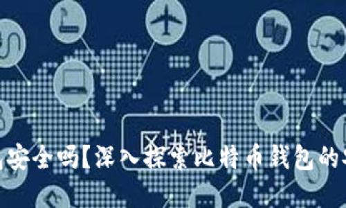 最早的比特币钱包安全吗？深入探索比特币钱包的安全性和保护措施