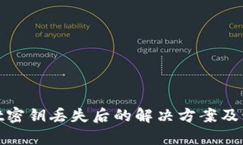tpWallet密钥丢失后的解决方案及预防措施
