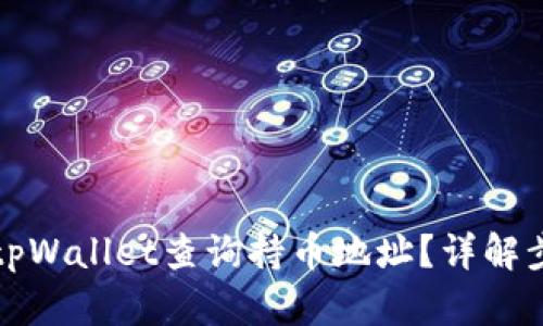 如何通过tpWallet查询持币地址？详解步骤与技巧