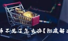 tpWallet中的币不见了怎么办