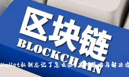 tpWallet私钥忘记了怎么办？应对策略与解决方案