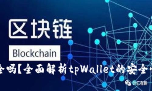 tpWallet安全吗？全面解析tpWallet的安全性与风险防范