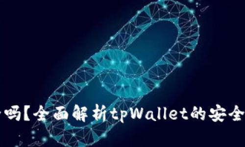 tpWallet安全吗？全面解析tpWallet的安全性与风险防范