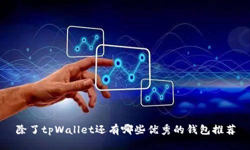 除了tpWallet还有哪些优秀的钱包推荐