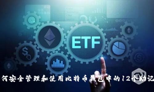 如何安全管理和使用比特币钱包中的12个助记词
