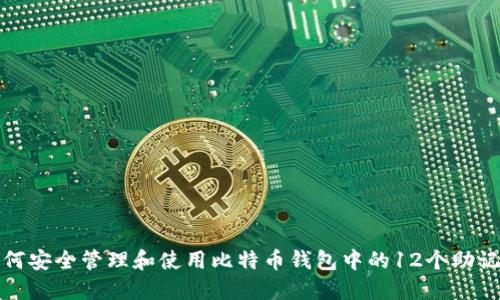 如何安全管理和使用比特币钱包中的12个助记词