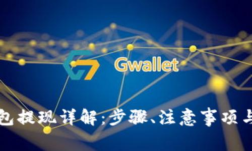 比特币钱包提现详解：步骤、注意事项与常见问题