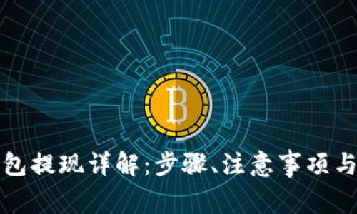 比特币钱包提现详解：步骤、注意事项与常见问题