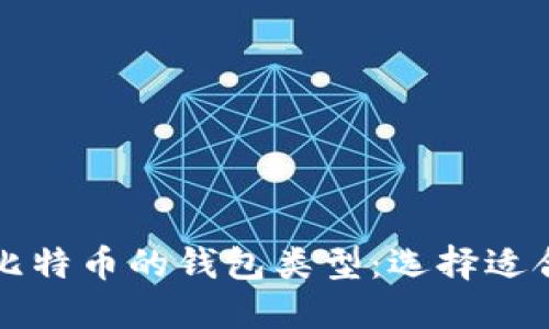 深入了解比特币的钱包类型：选择适合你的钱包