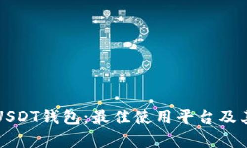 深入了解USDT钱包：最佳使用平台及其功能分析