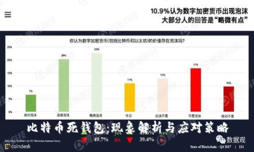 比特币死钱包：现象解析与应对策略
