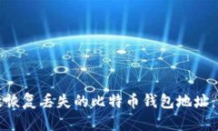 如何有效恢复丢失的比特