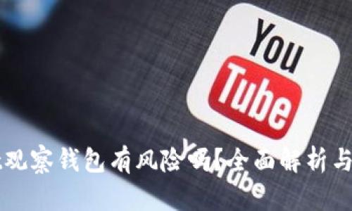 tpWallet观察钱包有风险吗？全面解析与使用指南