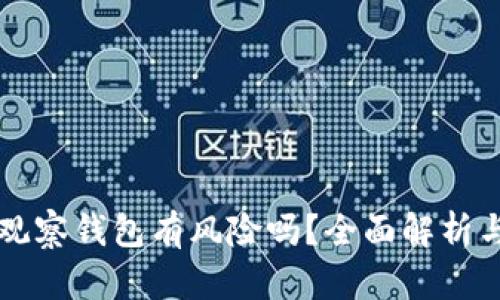 tpWallet观察钱包有风险吗？全面解析与使用指南