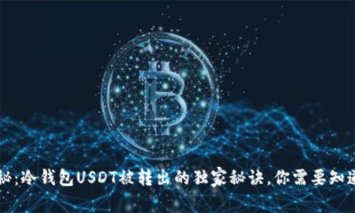 专家揭秘：冷钱包USDT被转出的独家秘诀，你需要知道的事项