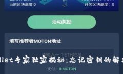 tpWallet专家独家揭秘：忘记