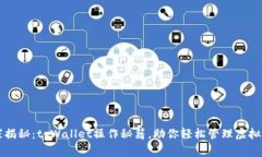 专家揭秘：tpWallet操作秘籍