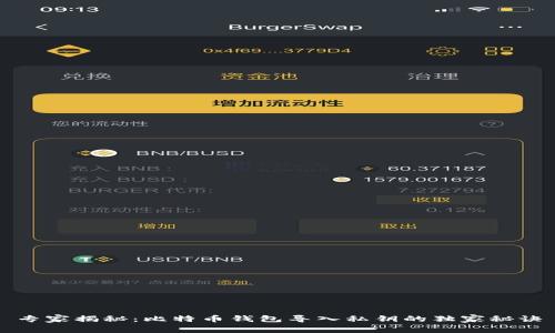 专家揭秘：比特币钱包导入私钥的独家秘诀