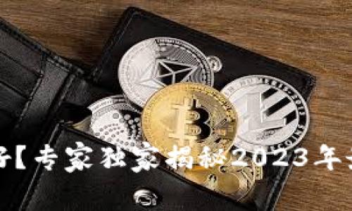 比特币存哪个钱包好？专家独家揭秘2023年最佳选择及投资秘诀