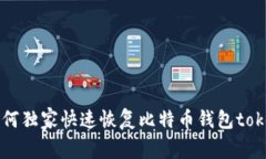 专家揭秘：如何独家快速恢复比特币钱包token.i