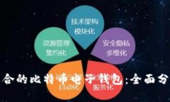 选择最适合的比特币电子钱包：全面分析与推荐
