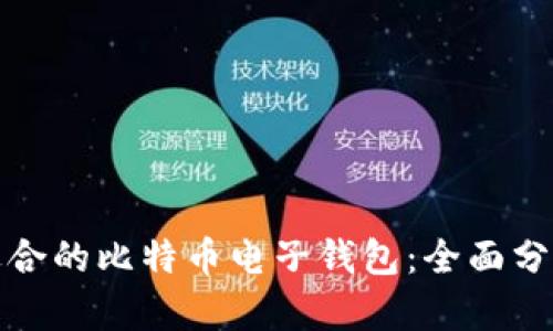 选择最适合的比特币电子钱包：全面分析与推荐