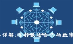 USDT钱包网络详解：选择最适合你的数字资产存储