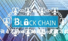 如何查询自己的以太坊钱包：步骤与技巧详解