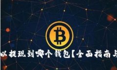 SHIB币可以提现到哪个钱包？全面指南与最佳选择