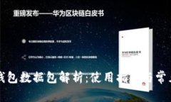比特币轻钱包数据包解析：使用指南与常见问题