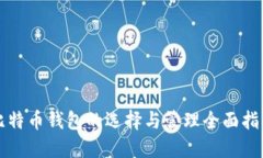 比特币钱包的选择与管理全面指南