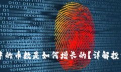 SHIB在钱包中的币数是如何增长的？详解投资与交