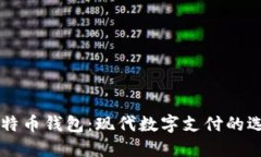 贝宝与比特币钱包：现代数字支付的选择与对比