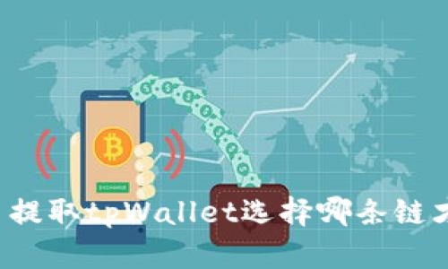 狗狗币提取tpWallet选择哪条链才最优？
