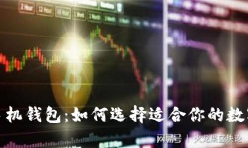 安全的比特币手机钱包：如何选择适合你的数字资产保护工具