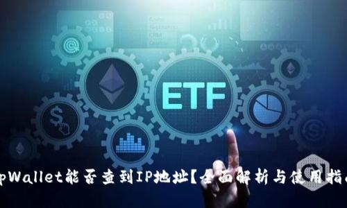 tpWallet能否查到IP地址？全面解析与使用指南
