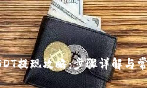 货币钱包USDT提现攻略：步骤详解与常见问题解答