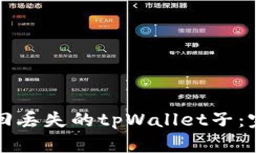 如何找回丢失的tpWallet子：完整指南