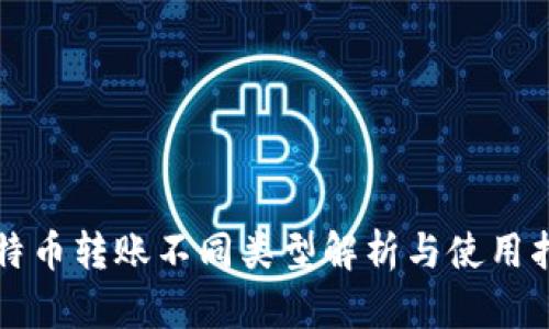 比特币转账不同类型解析与使用指南
